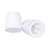 Maxlight Lampa Sufitowa Barro I Biała C0036