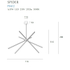 Maxlight Lampa Wisząca Spider Black P0412