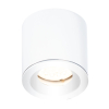 Maxlight Lampa Sufitowa Form Biała GU10 IP65 C0215