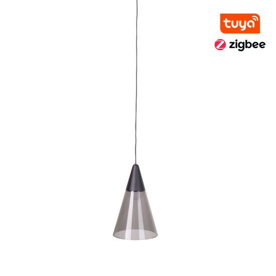 Maxlight Lampa Wisząca Magnetyczna System ZigBee 6W 187lm 2700-5000K M0015Z