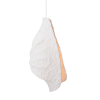 Maxlight Lampa Wisząca Concha P0540