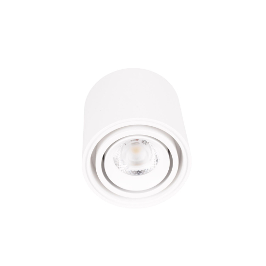 Maxlight Lampa Sufitowa Fix 6W Biała C0256