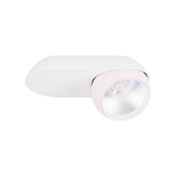 Maxlight Lampa Sufitowa Zeus 10W Biała C0263