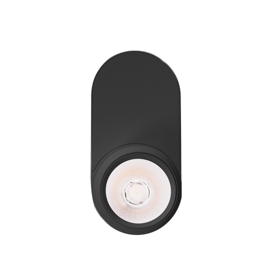 Maxlight Lampa Sufitowa Zeus 10W Czarna C0264